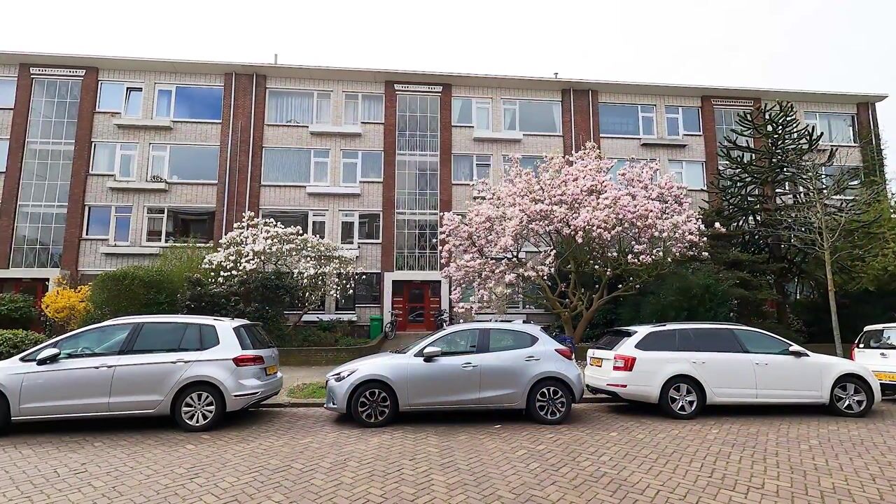 Video van Larixstraat 20