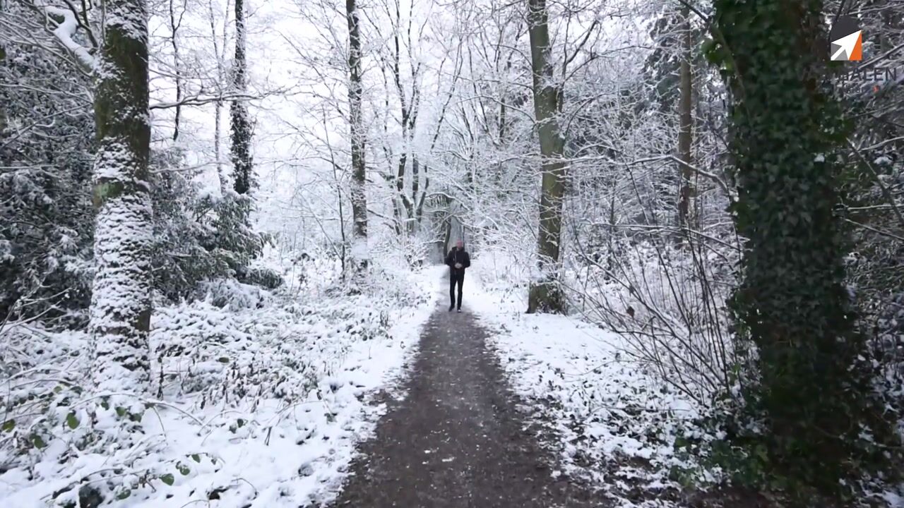 Video van IJsbaanweg 40