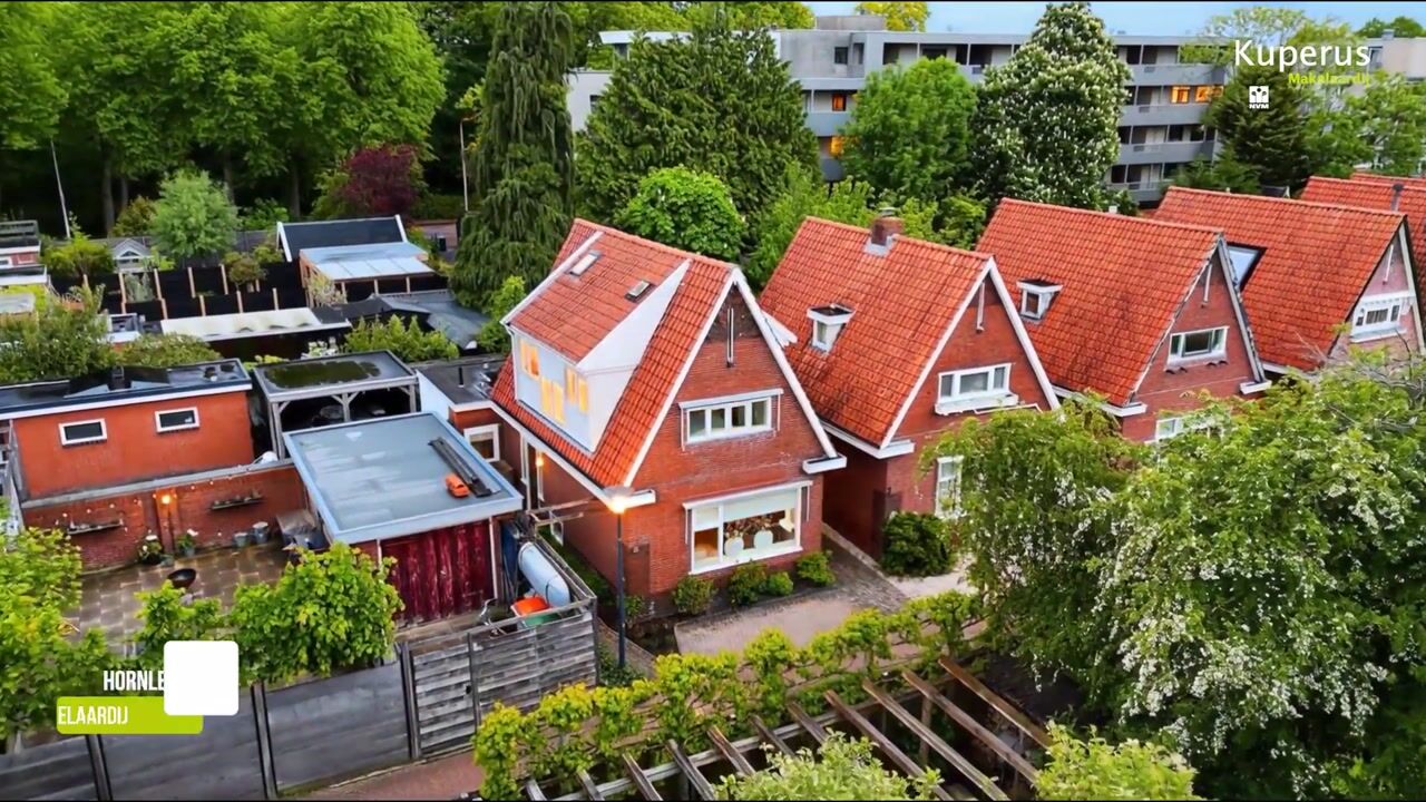 Video van Hornleger 1