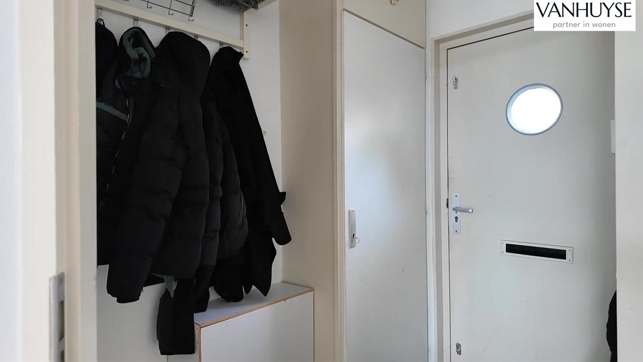 Video van Pauwoog 43