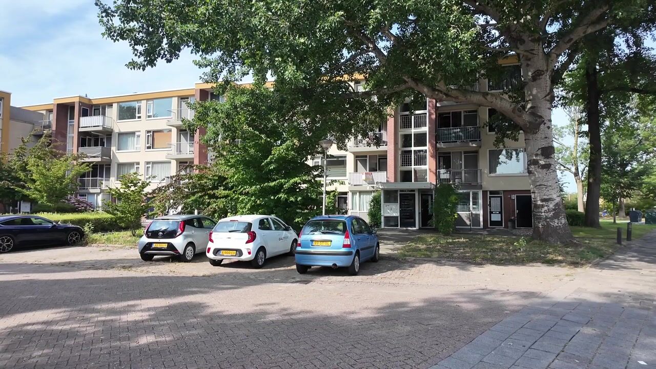 Video van Nijlânsdyk 213
