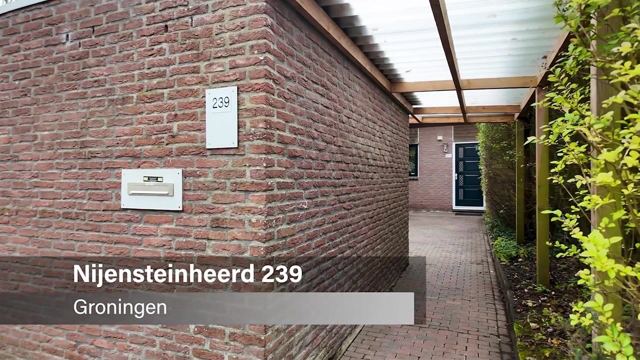 Bekijk video van Nijensteinheerd 239