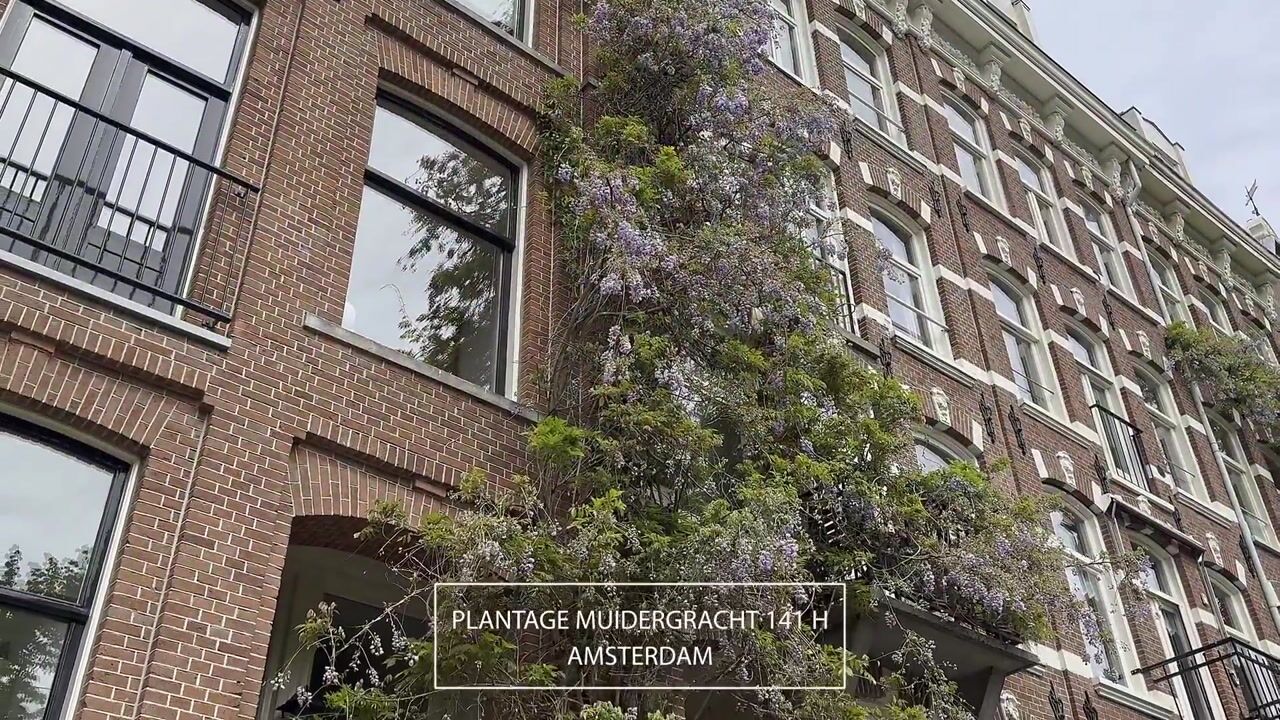 Video van Plantage Muidergracht 141-3