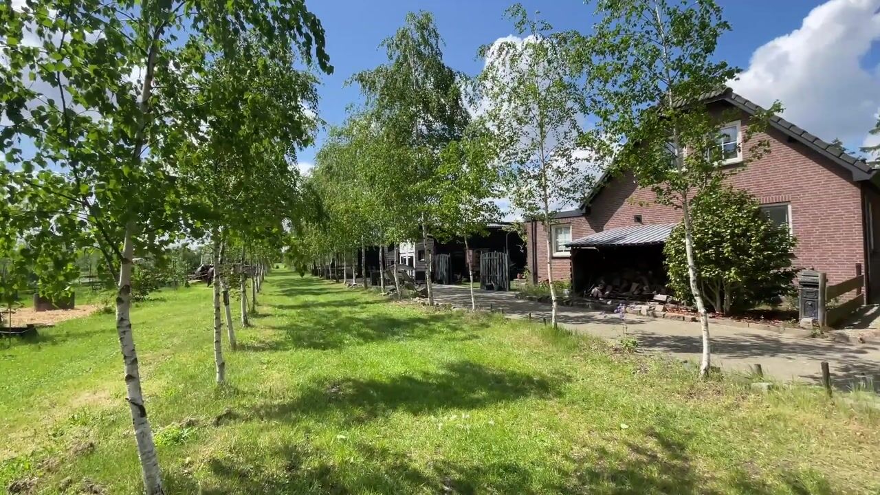 Video van Loosbergstraat 7