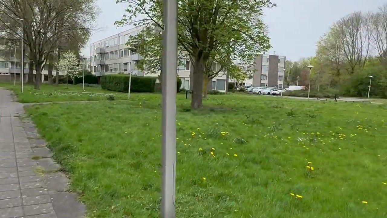 Video van Pretoriadreef 31