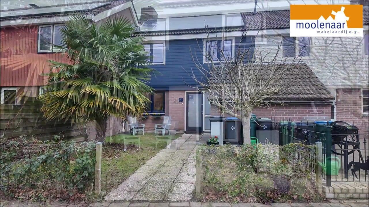 Video van Tienhont 34