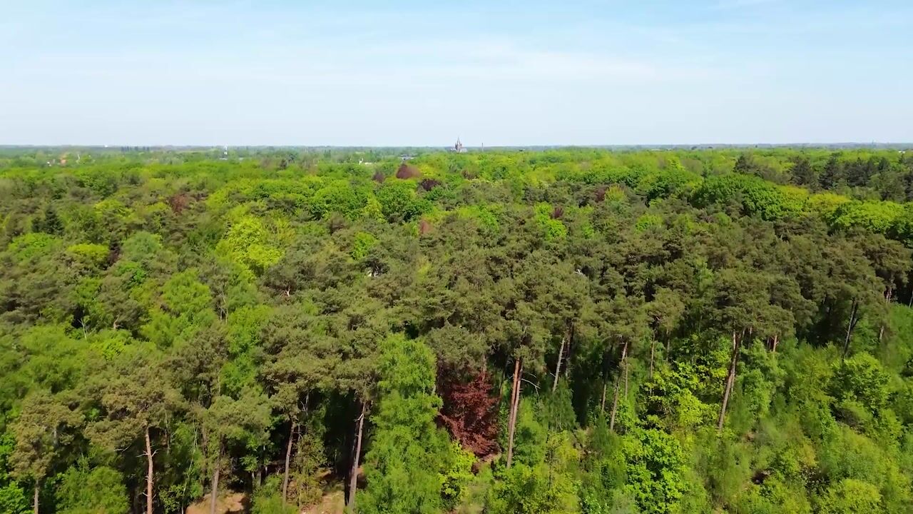 Video van Moergestelseweg 107