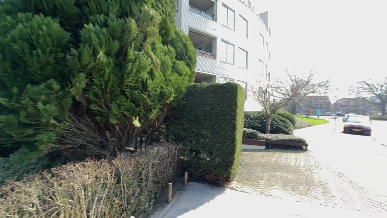 Video van Prins Hendrikplein 6