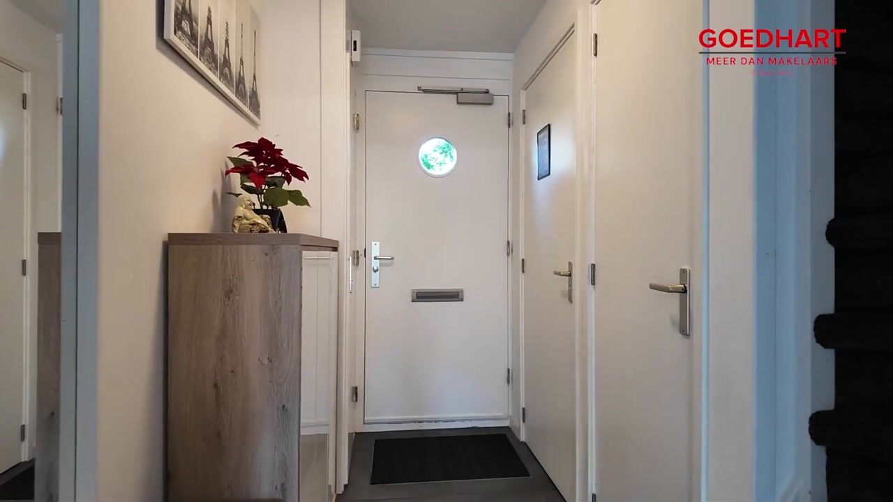 Video van Noorse Lijster 3