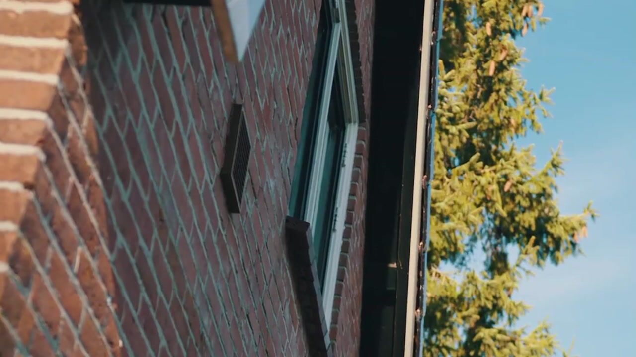 Video of Binnenbuorren 9