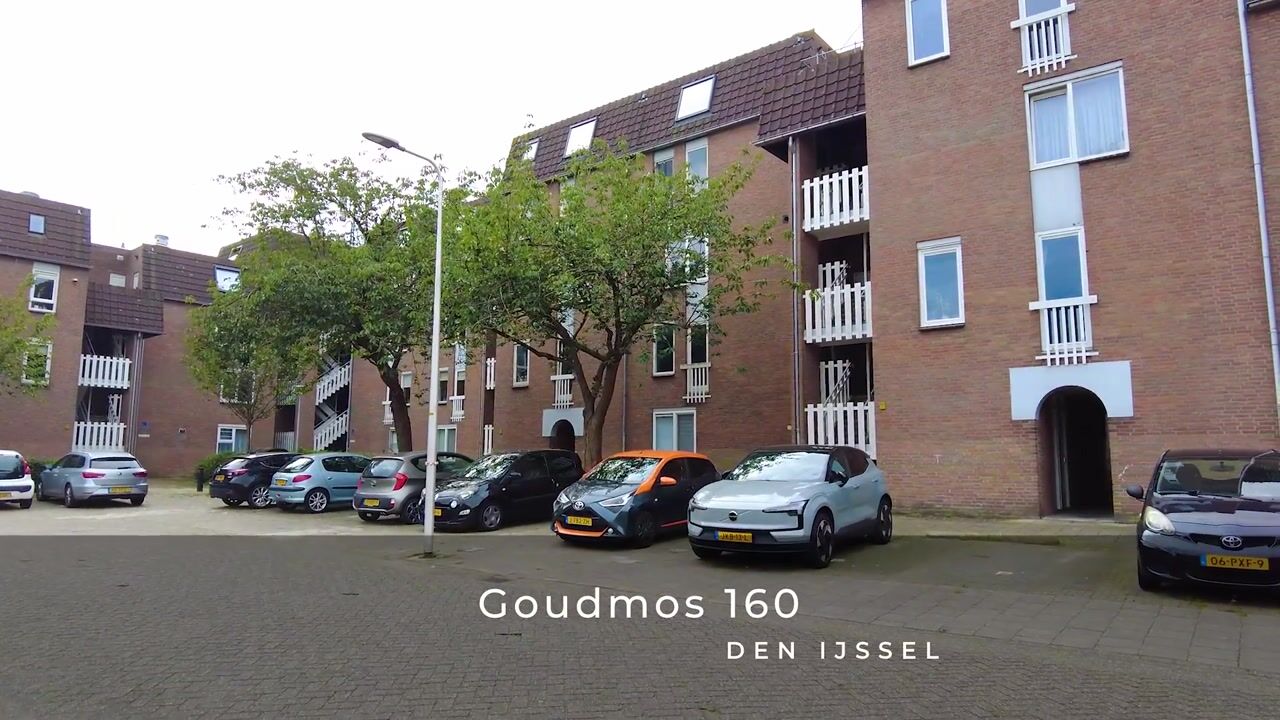 Video van Goudmos 160