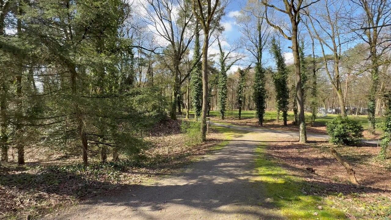 Video of Biesdeel 4-16