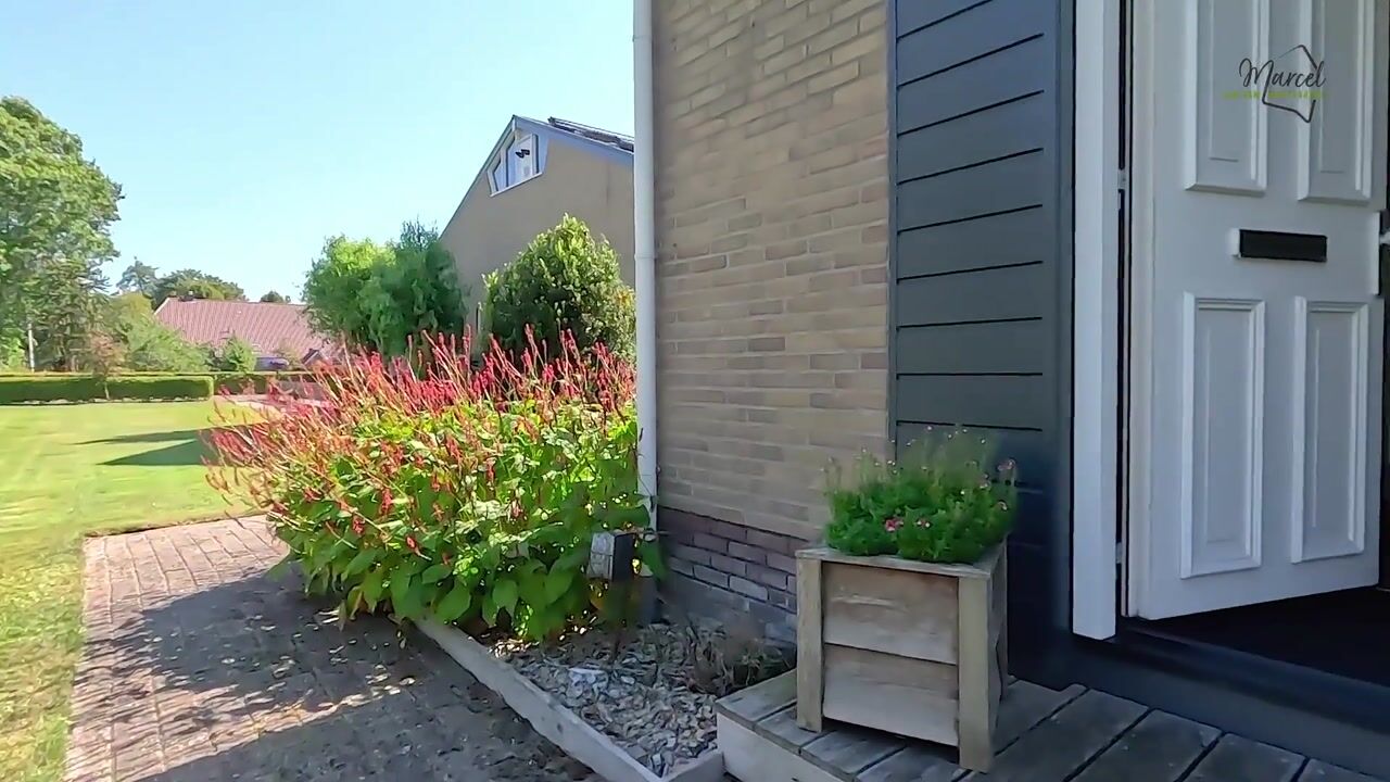 Video van Zuiderdiep 485