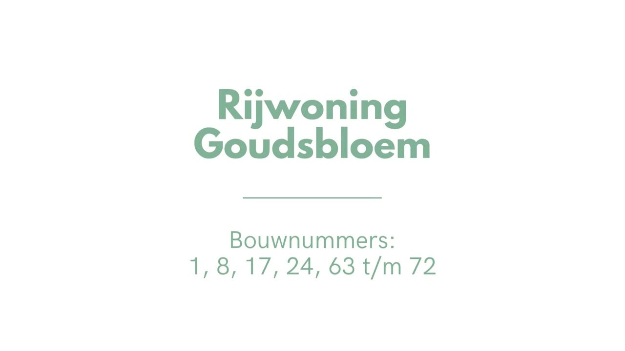 Video van Goudsbloem (Bouwnr. 70)