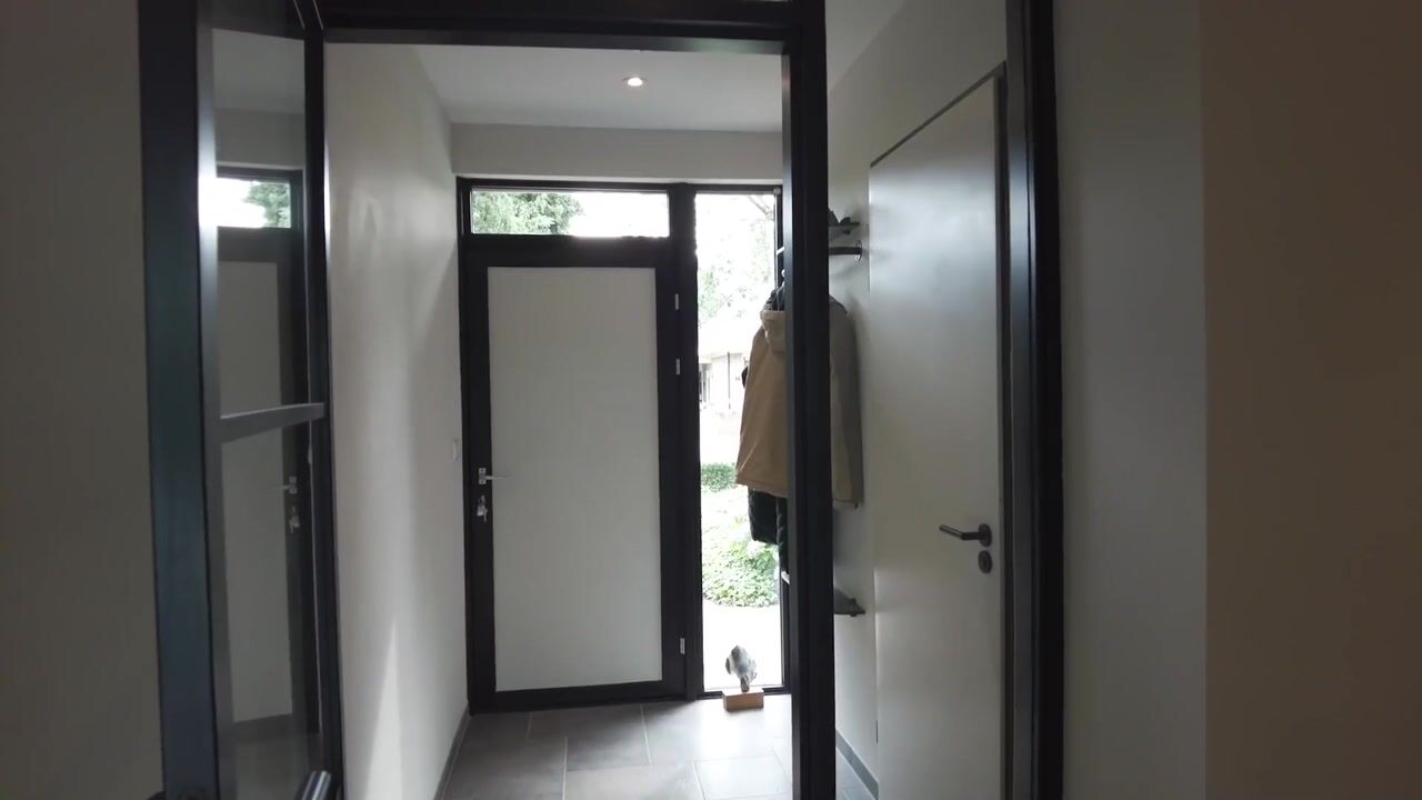 Video of Vogelwikke 20