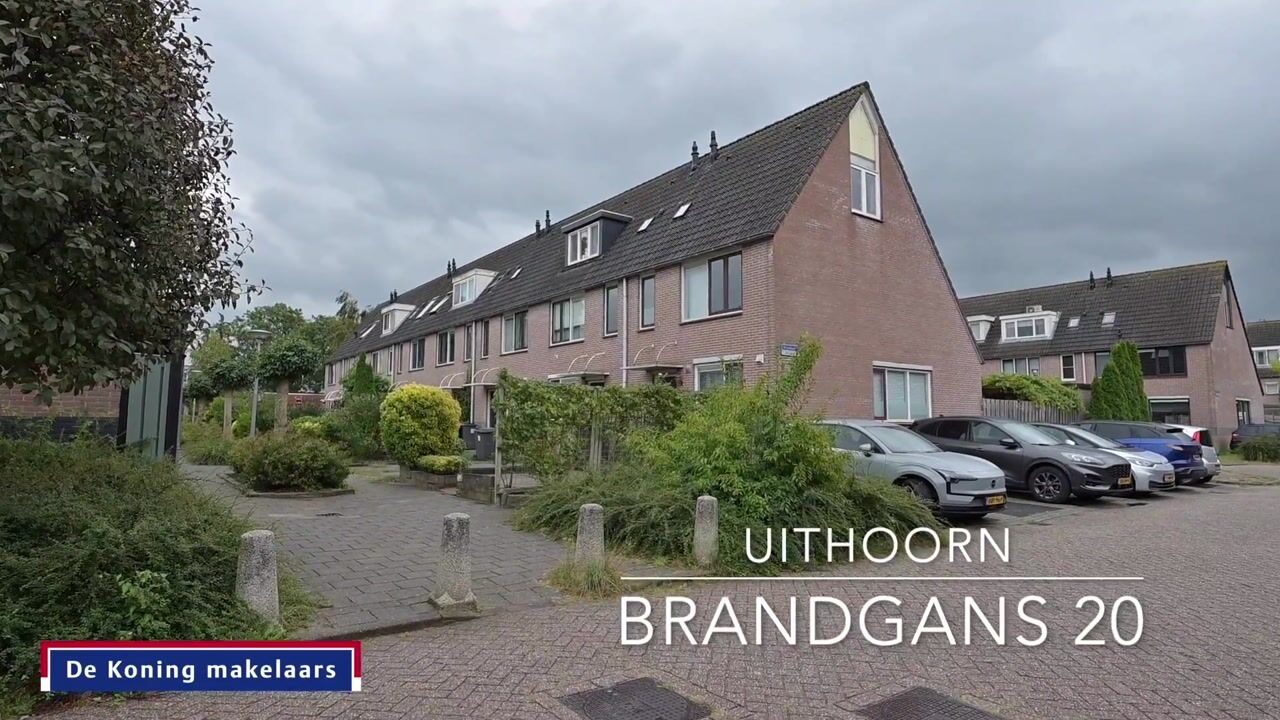 Video van Brandgans 20