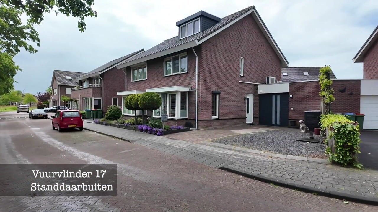 Video van Vuurvlinder 17
