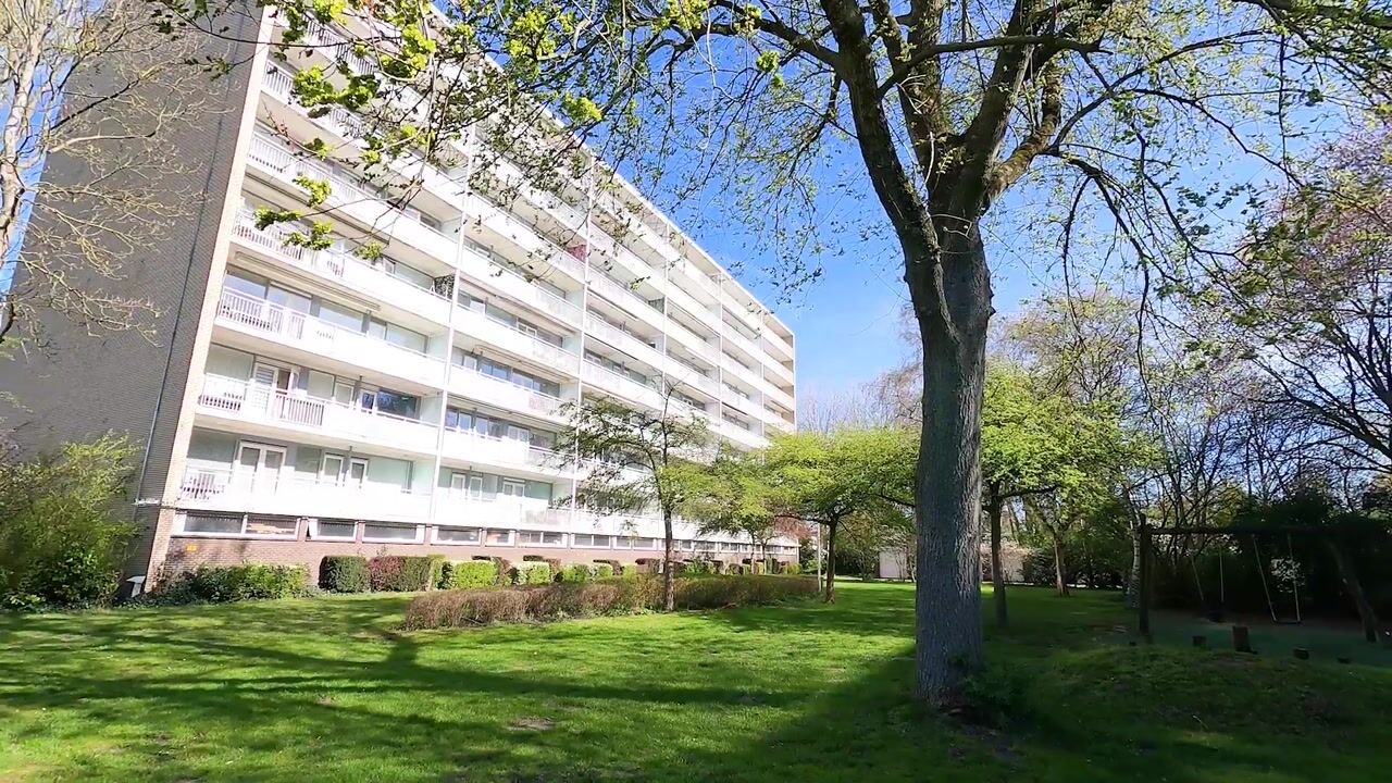 Video van Spechtlaan 169