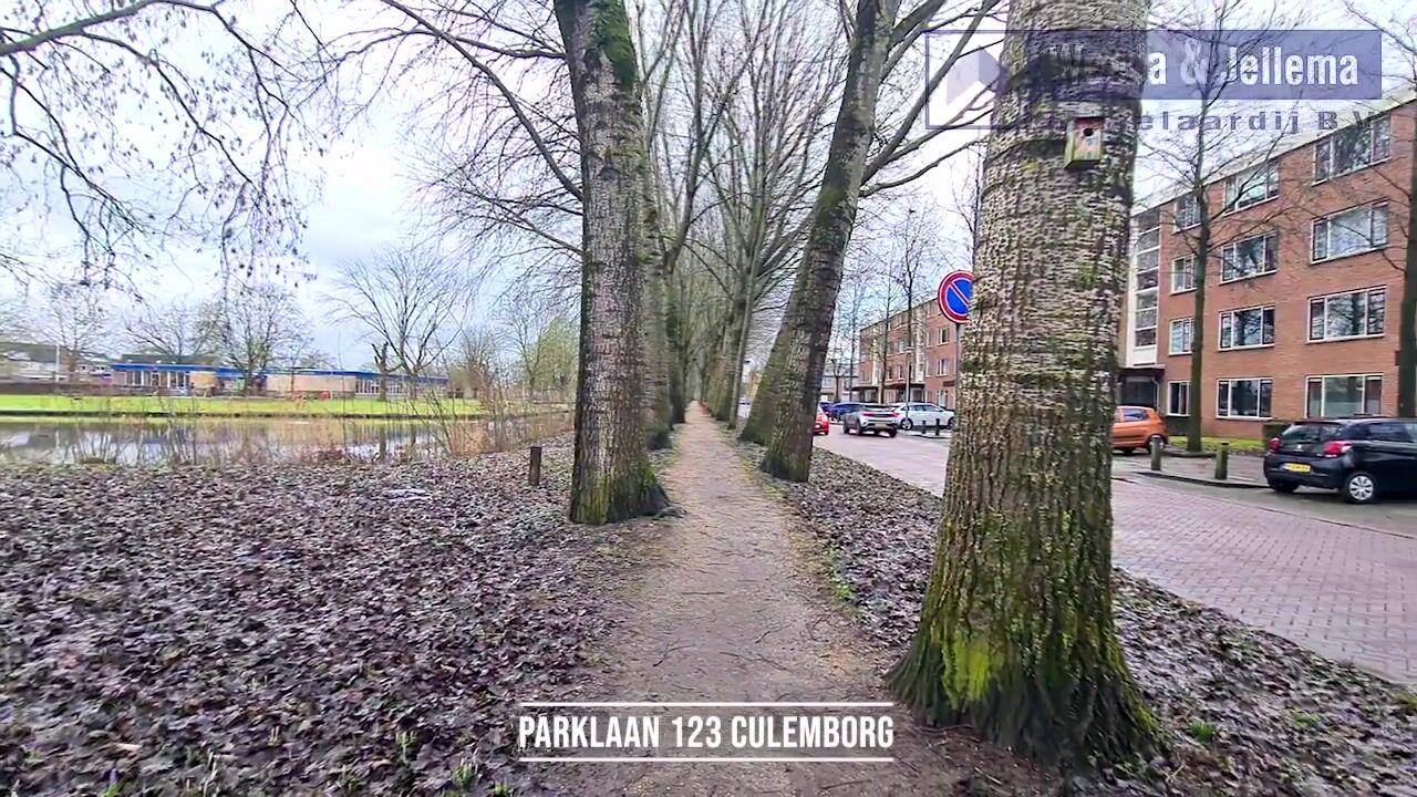 Video van Parklaan 123