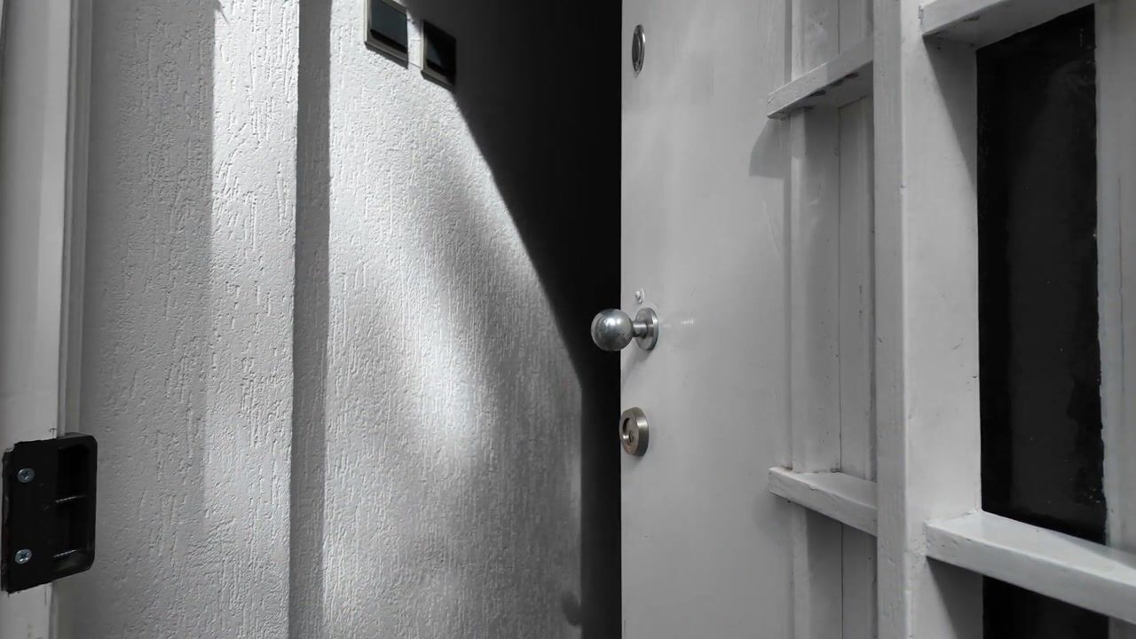 Video of Caumerbeeklaan 25