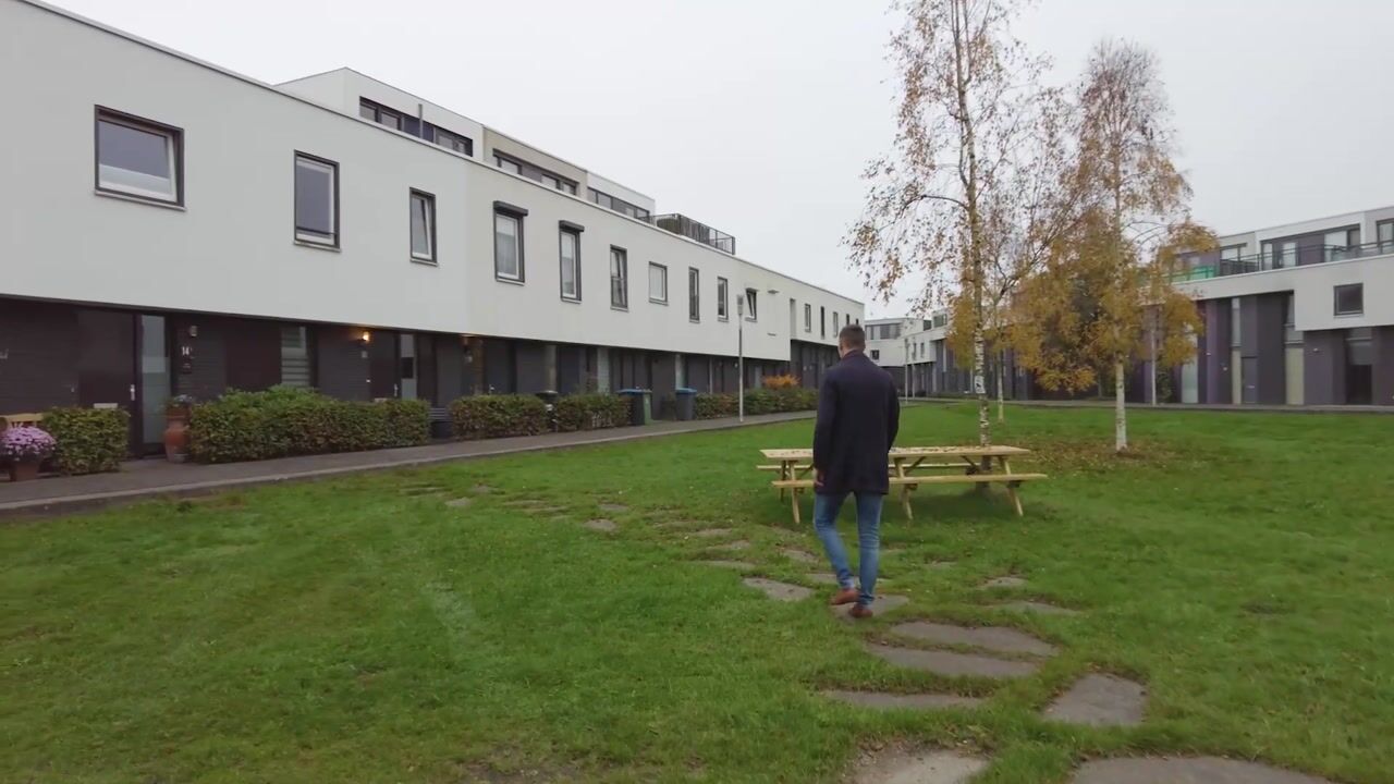 Video of Vuurvlinder 16