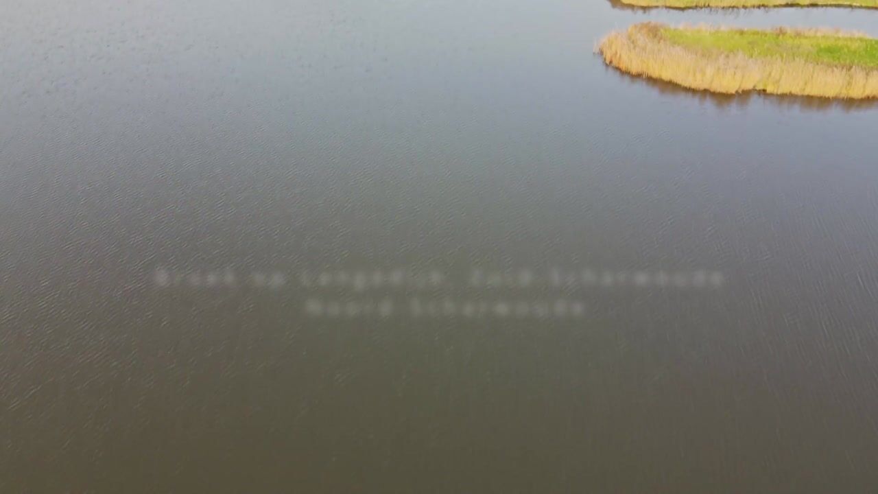 Video van Winterkoning 36