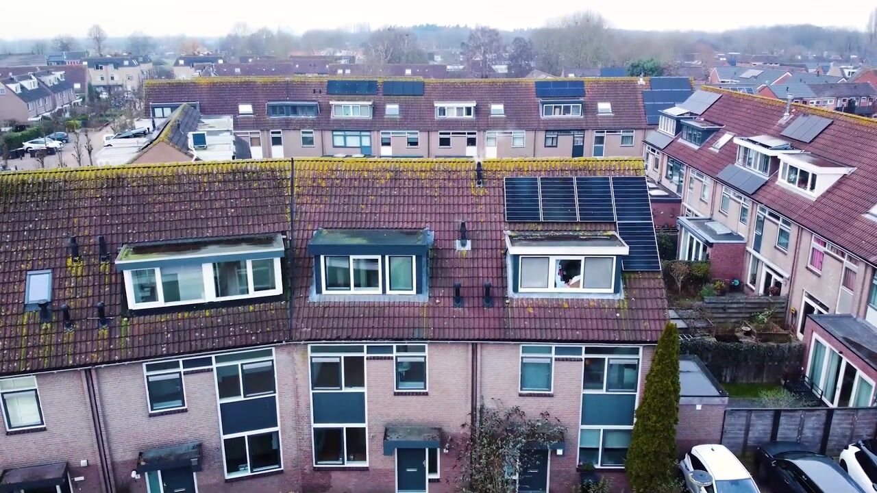 Video van Waterhoen 3