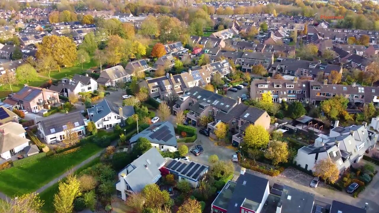 Video of Rietgorsmeen 56