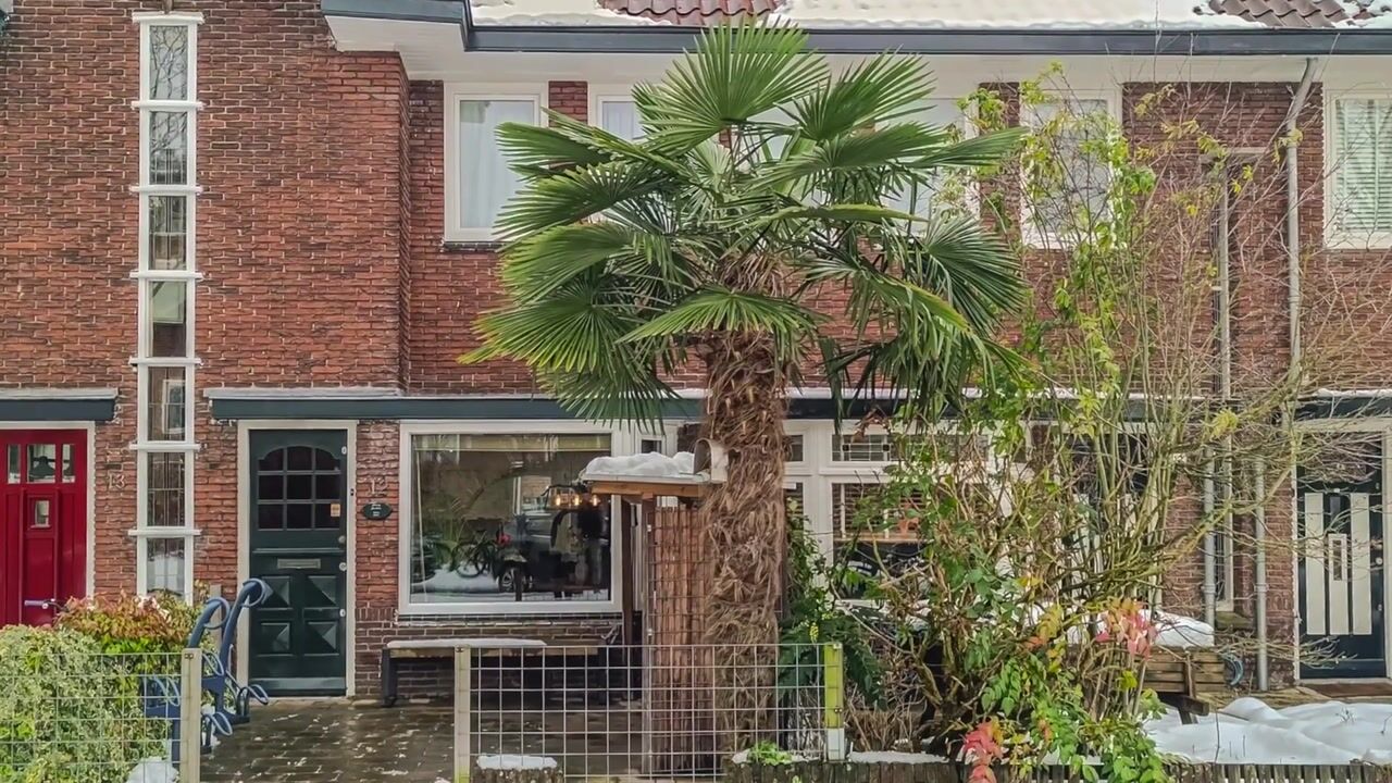 Video van Den Brielstraat 12