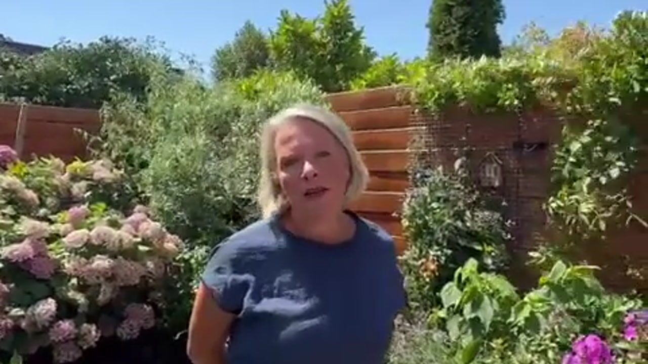 Video van Haydnstraat 59