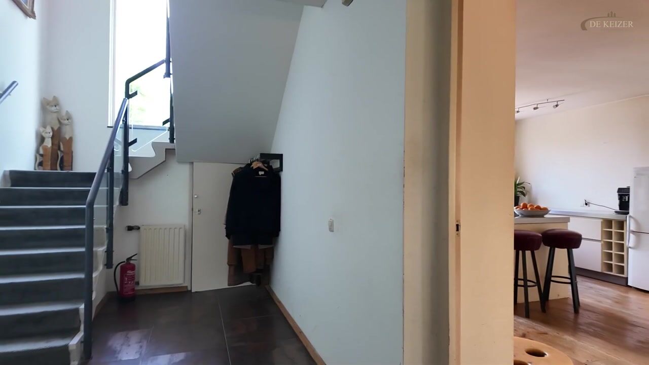 Video of Dierenriem 11