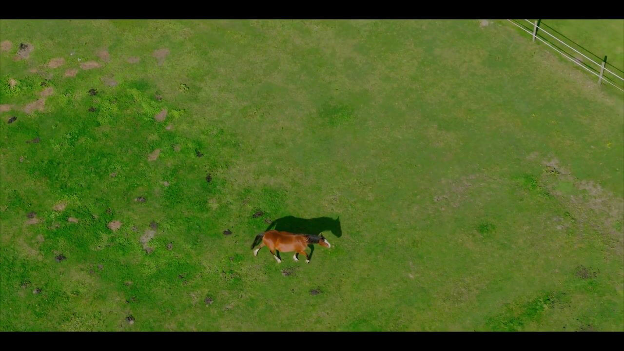 Video van Overmeenweg 2