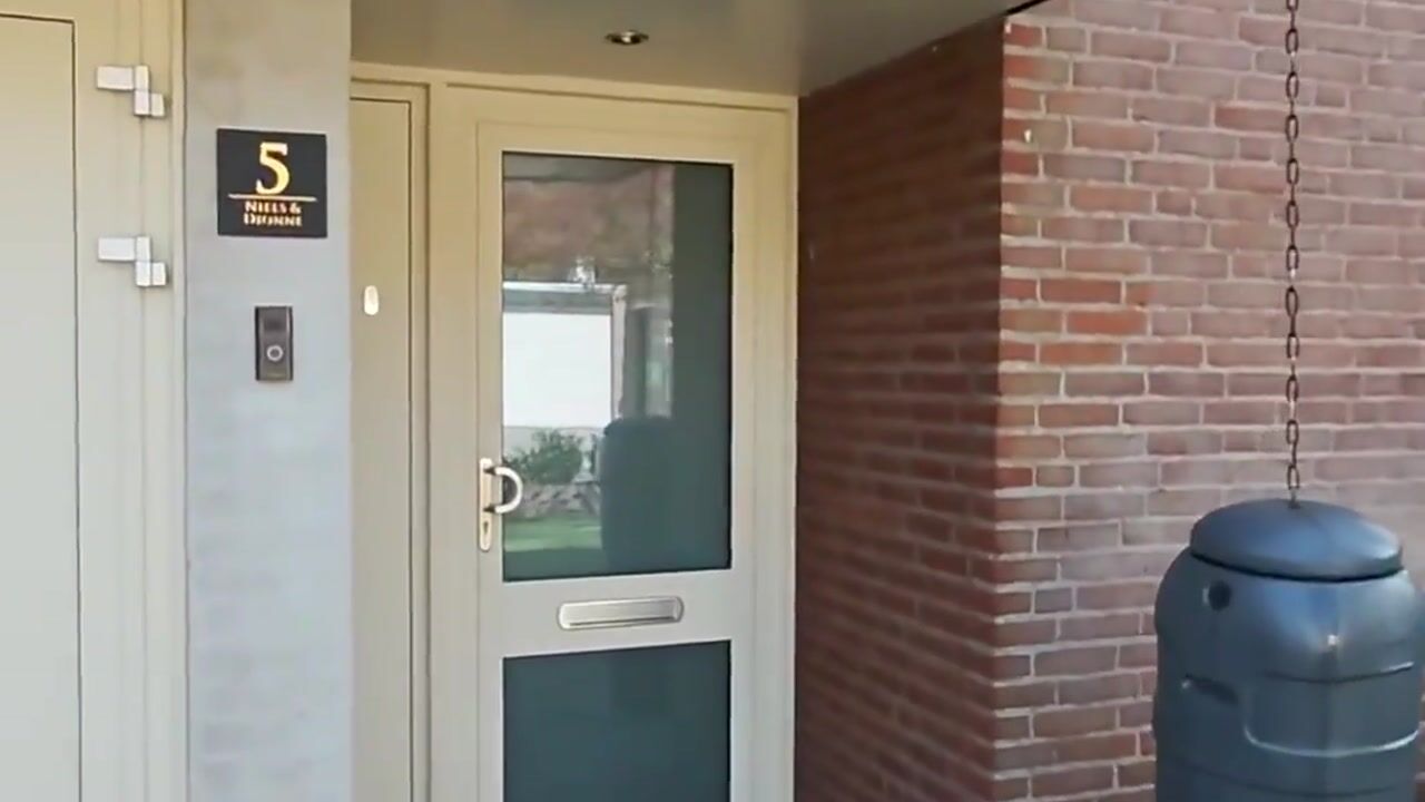 Video van Bingelkruid 5