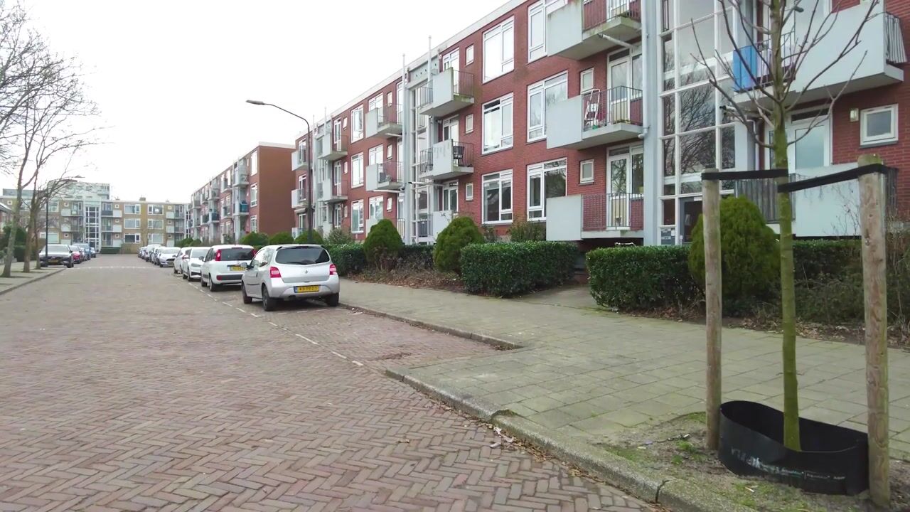 Video of Peter van Anrooystraat 31