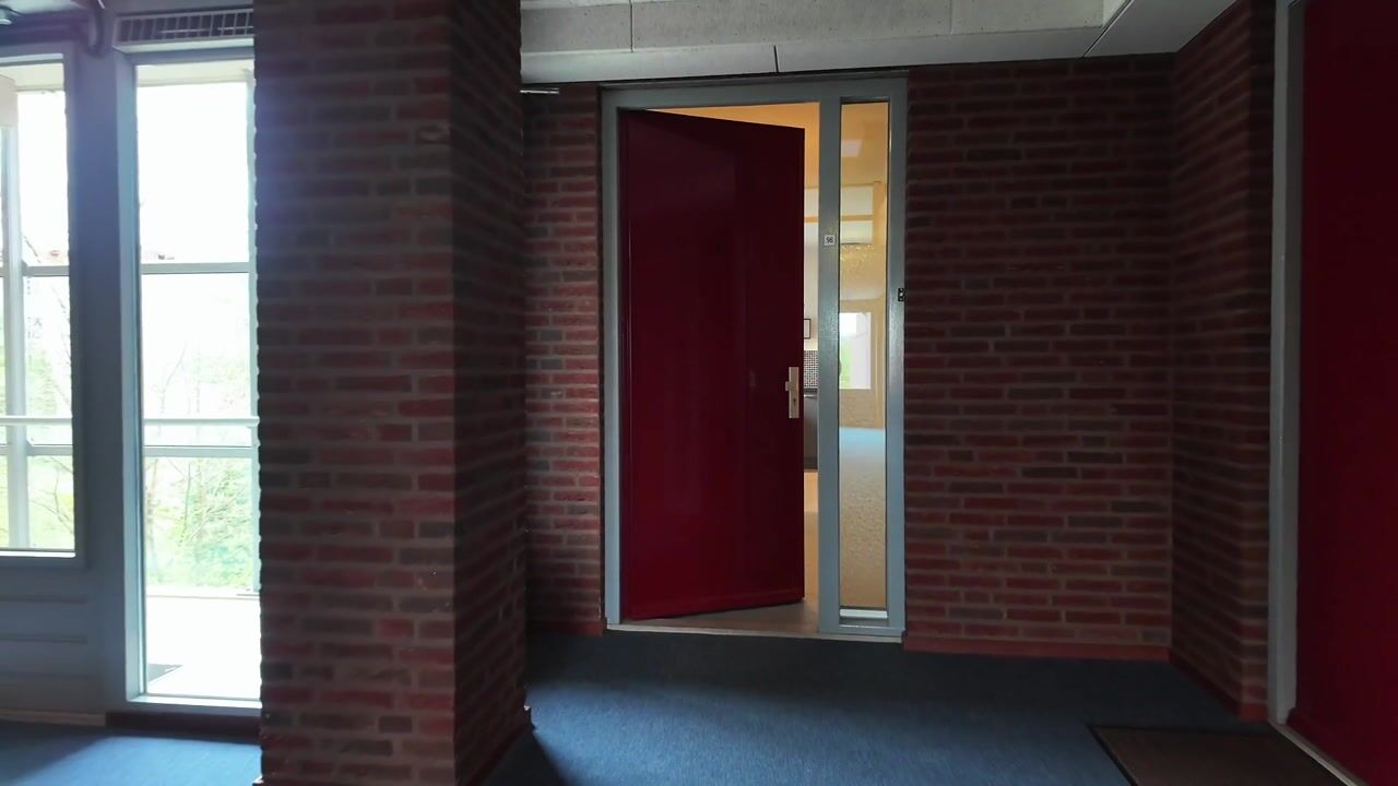 Video van Insula 96