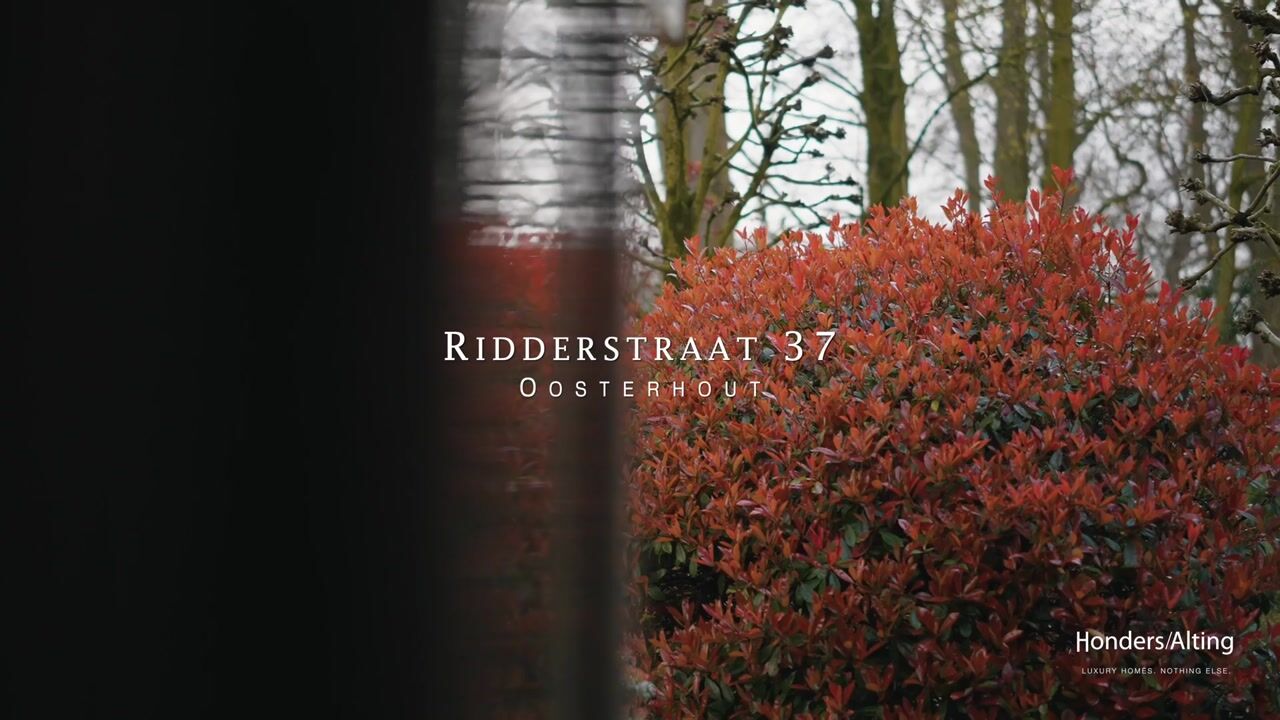 Video of Ridderstraat 37