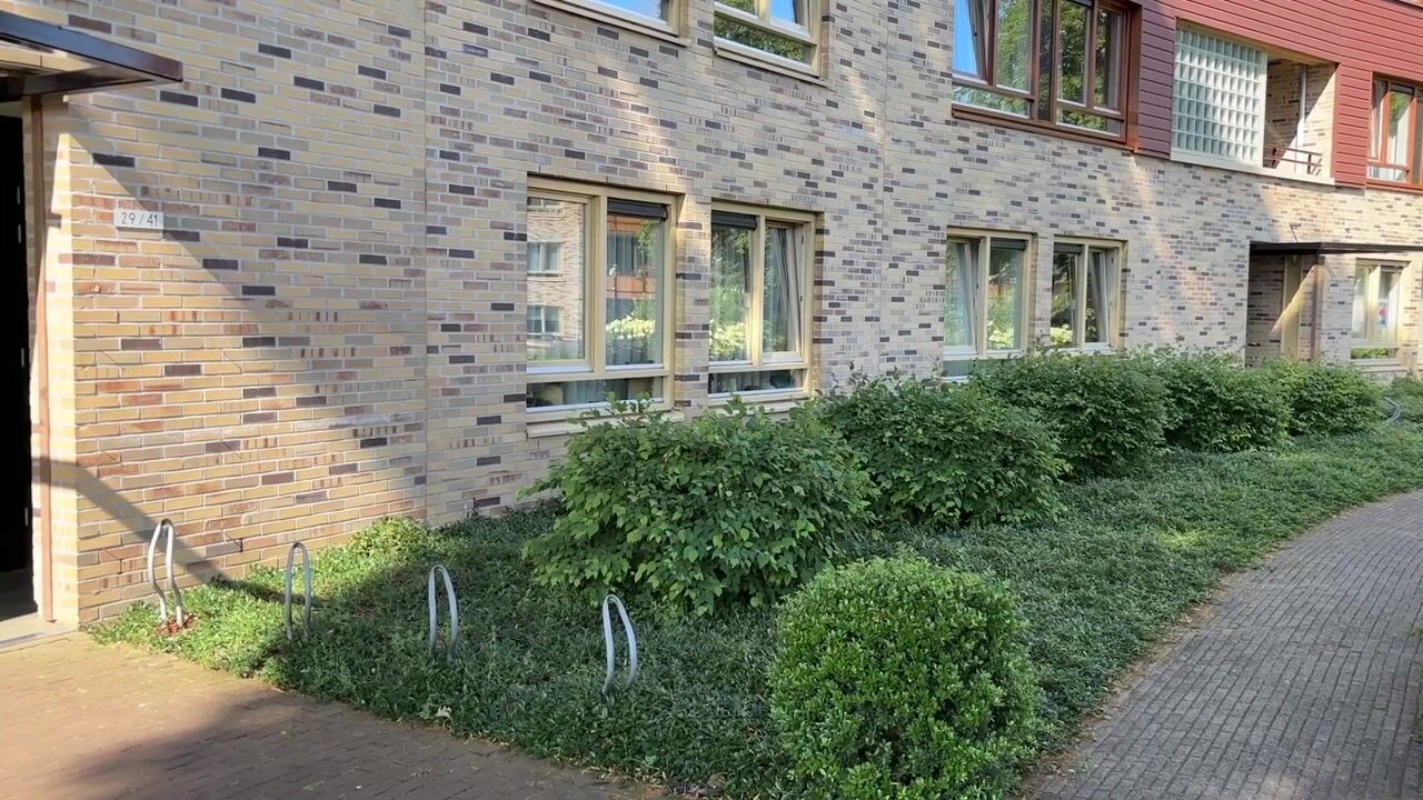 Video van Zeshoven 33