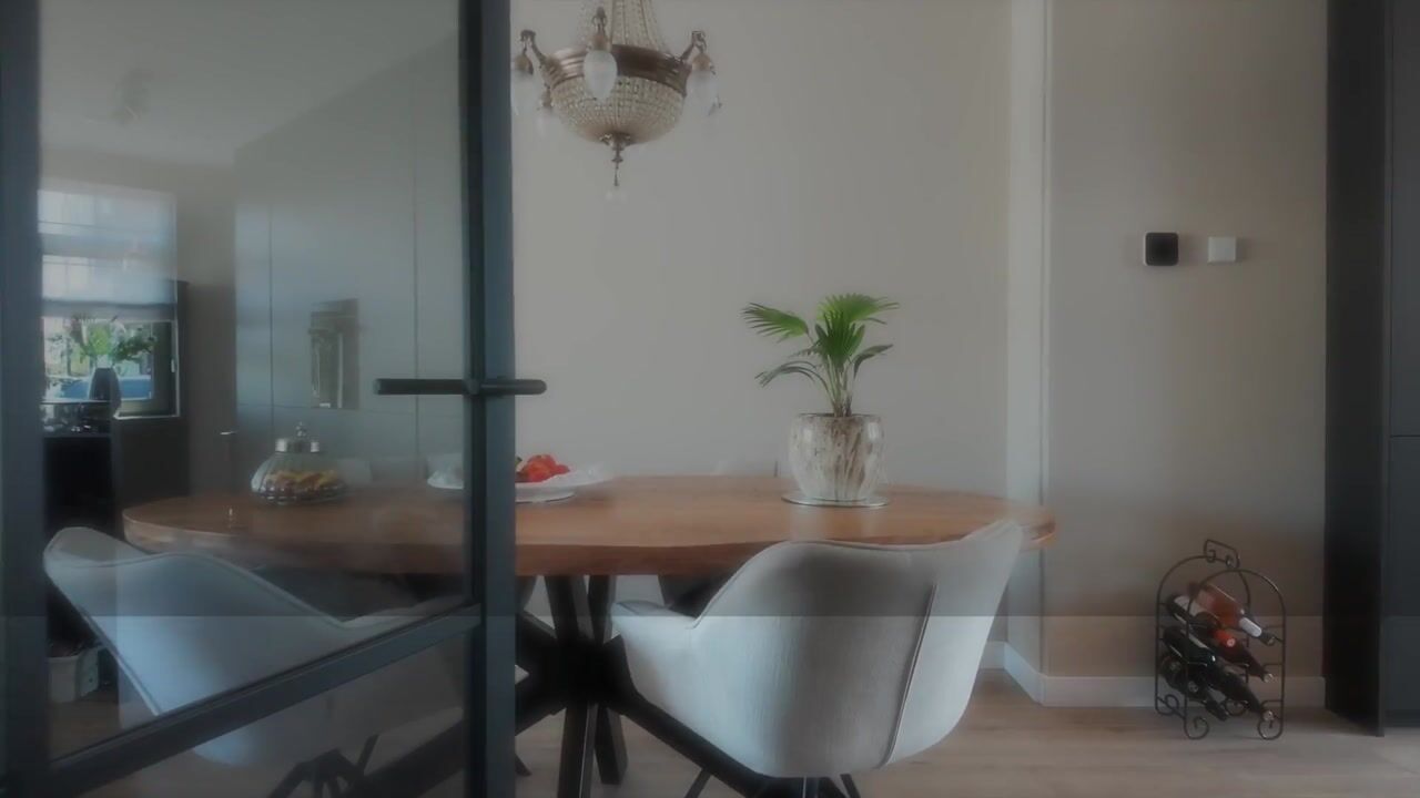 Video van De Mook 41
