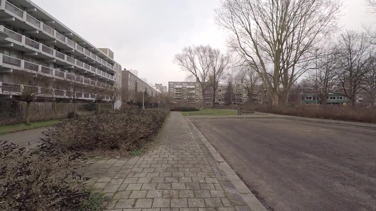 Video van Hof van Groenen 42