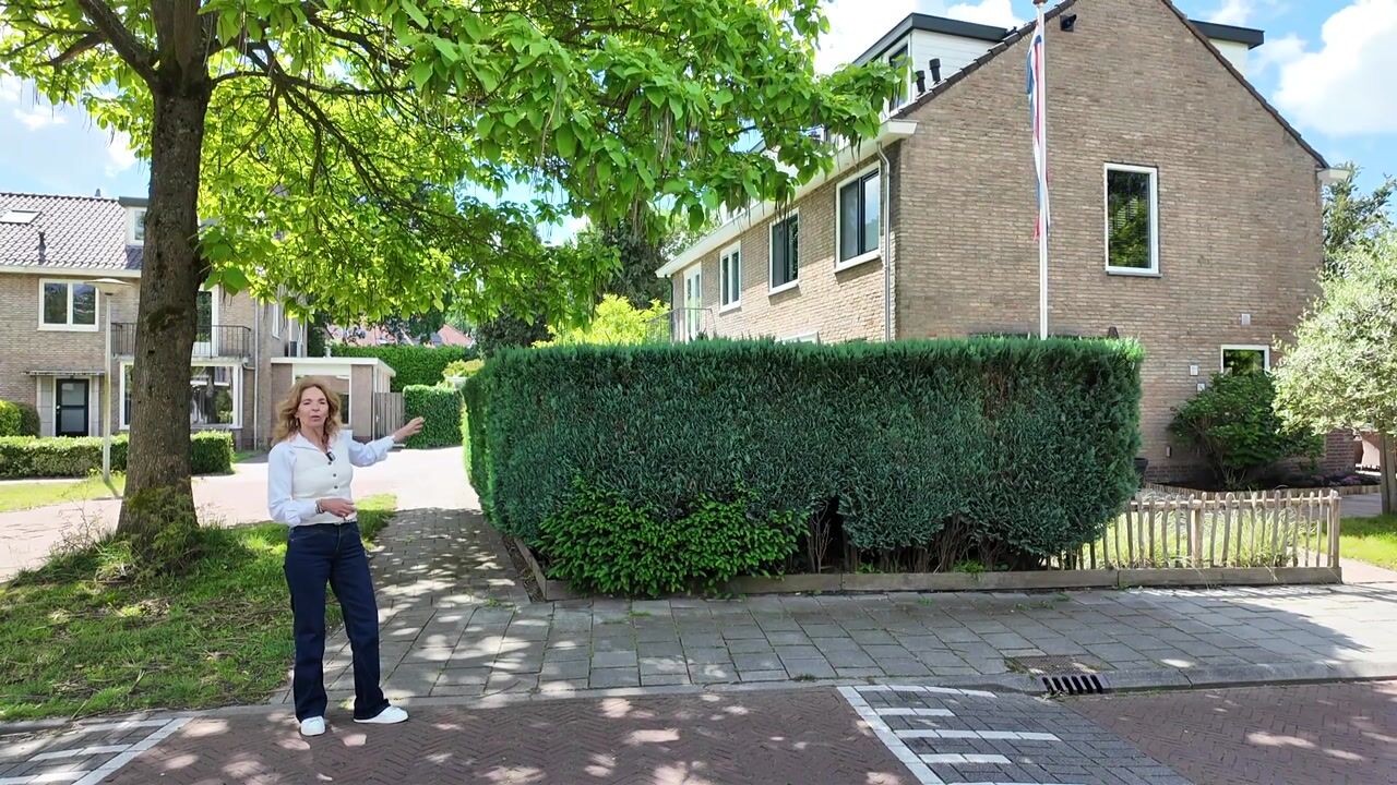 Video van Kolfbaan 16
