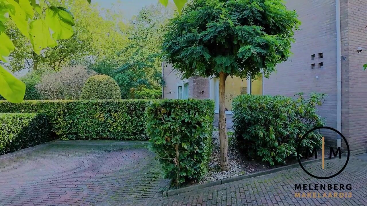 Video van Plutolaan 4