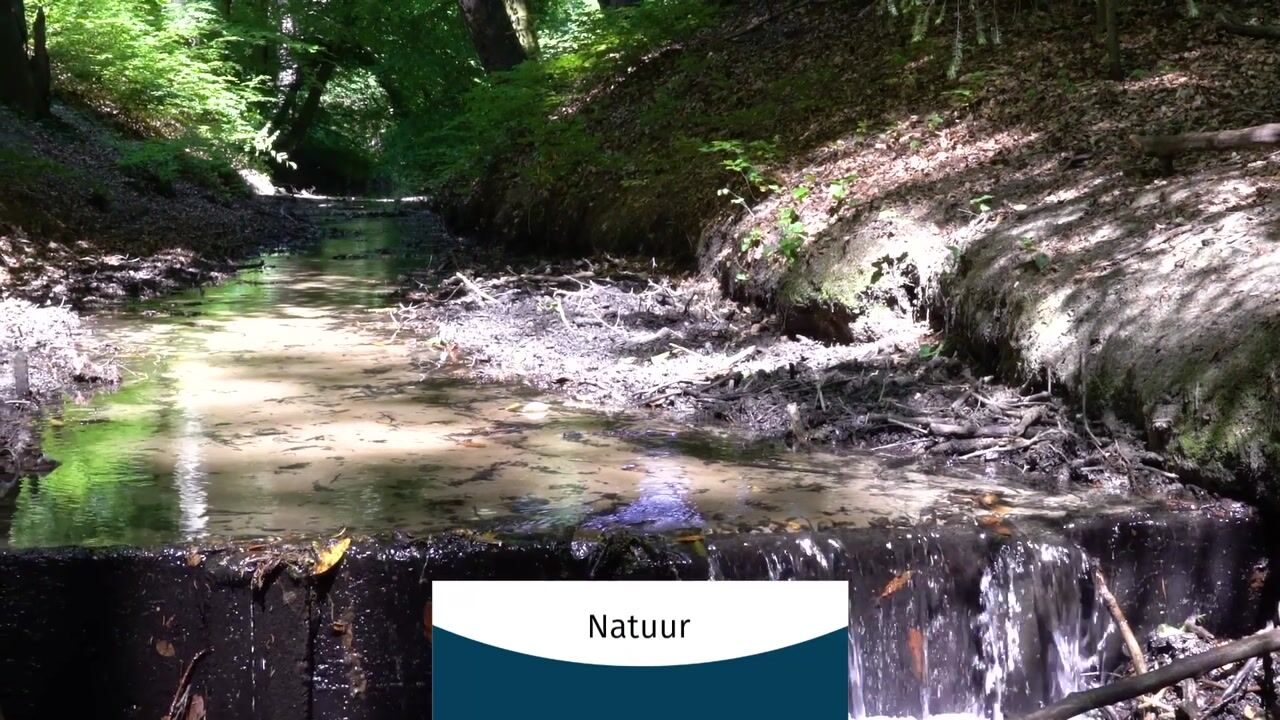 Video van Hoofdstraat 148