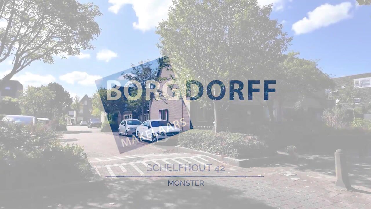 Video van Schelfhout 42