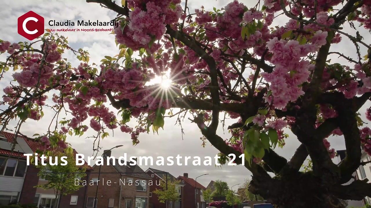 Video of Titus Brandsmastraat 21