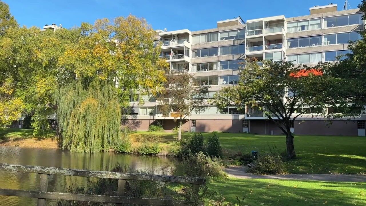 Video van Veenbesstraat 308