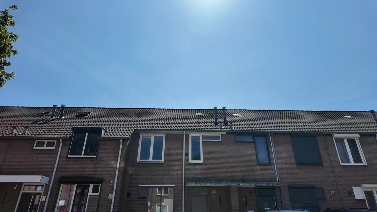 Video van Hollandhof 88