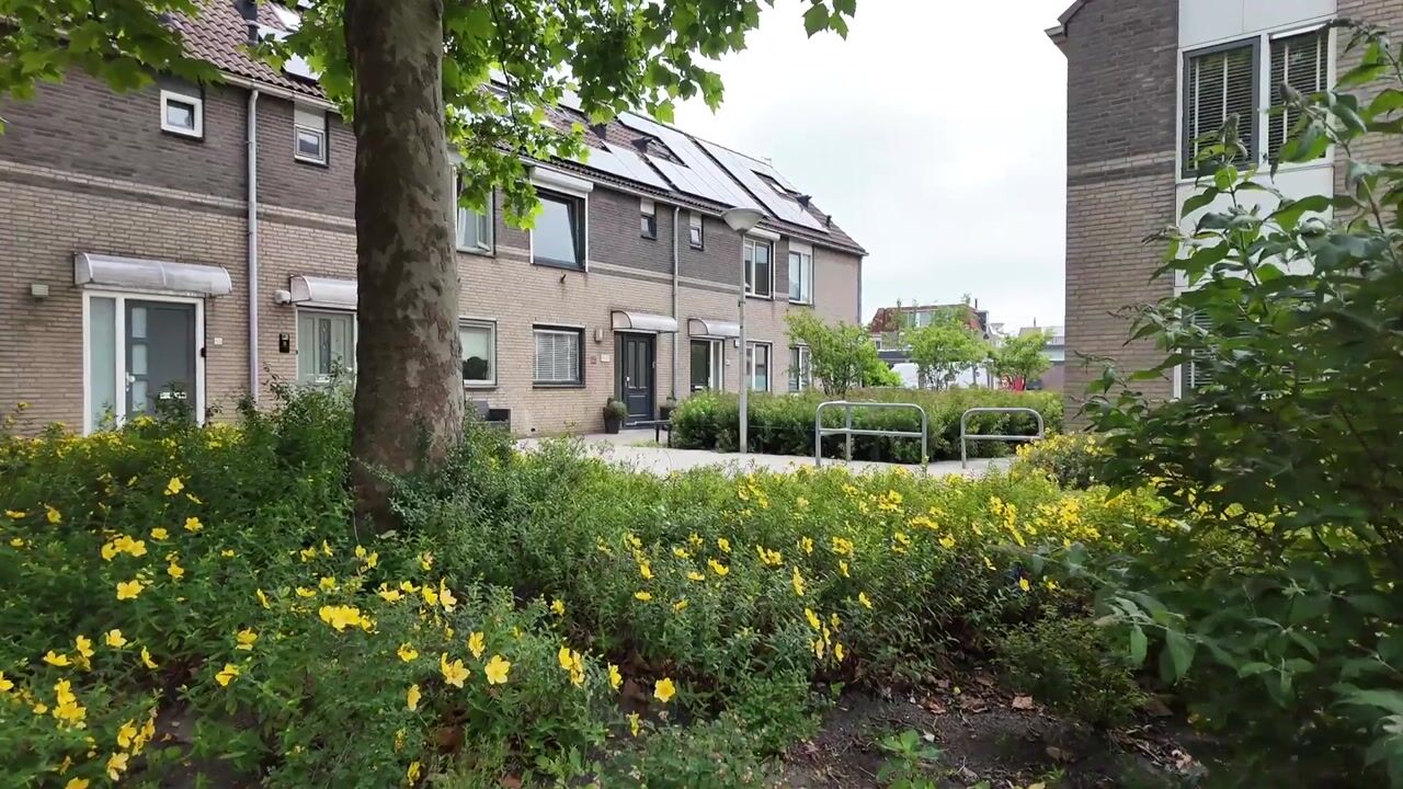 Video of Achter de Dijk 4