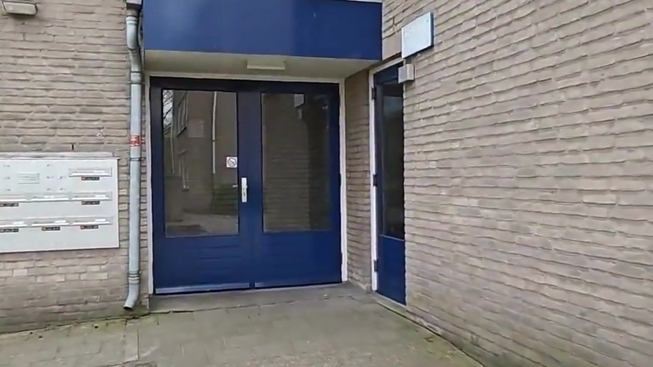 Video of Gender 18