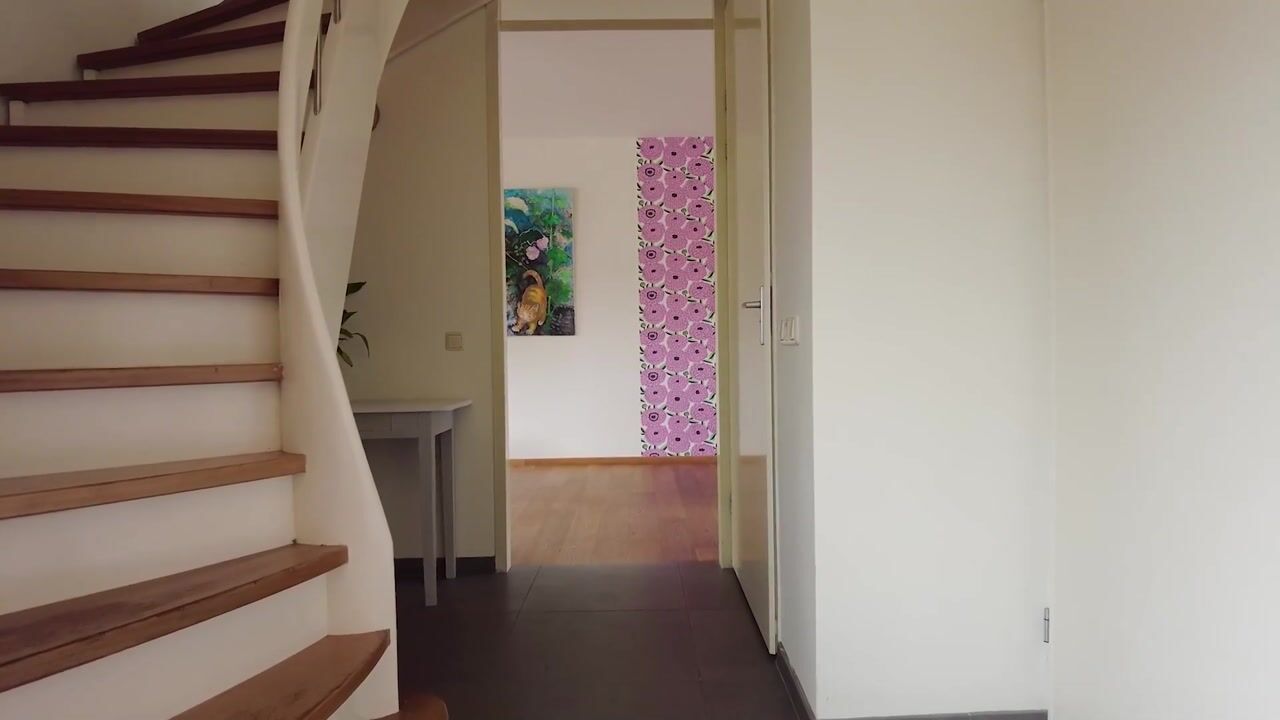 Video van Auke Mollemastraat 15