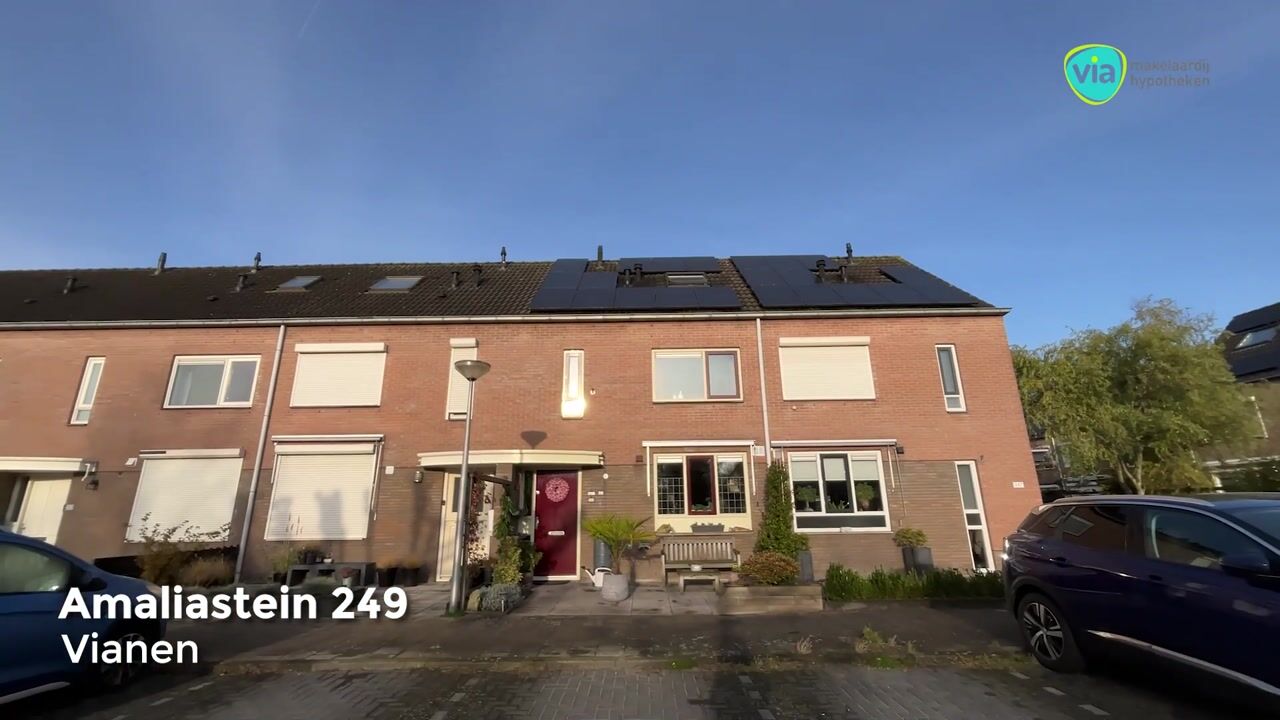 Video van Amaliastein 249